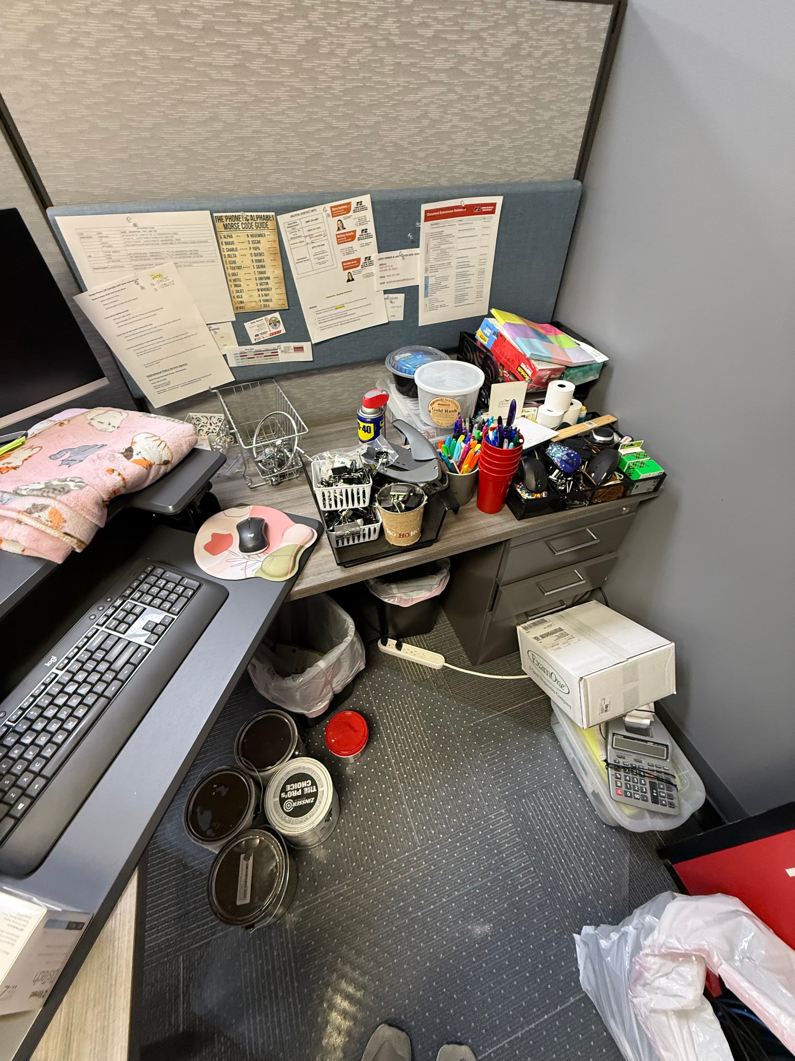 Before pantry organization