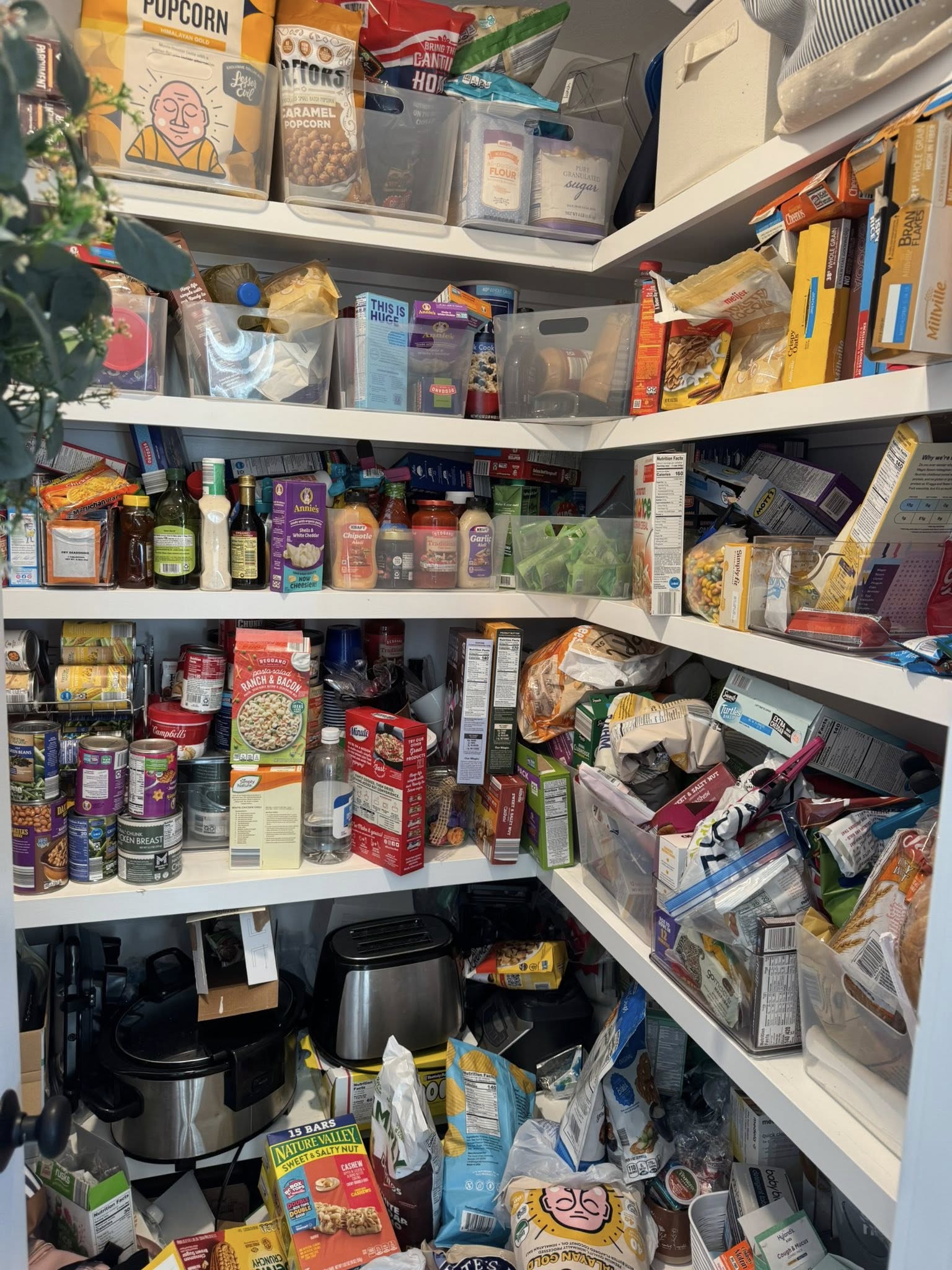 Before pantry organization